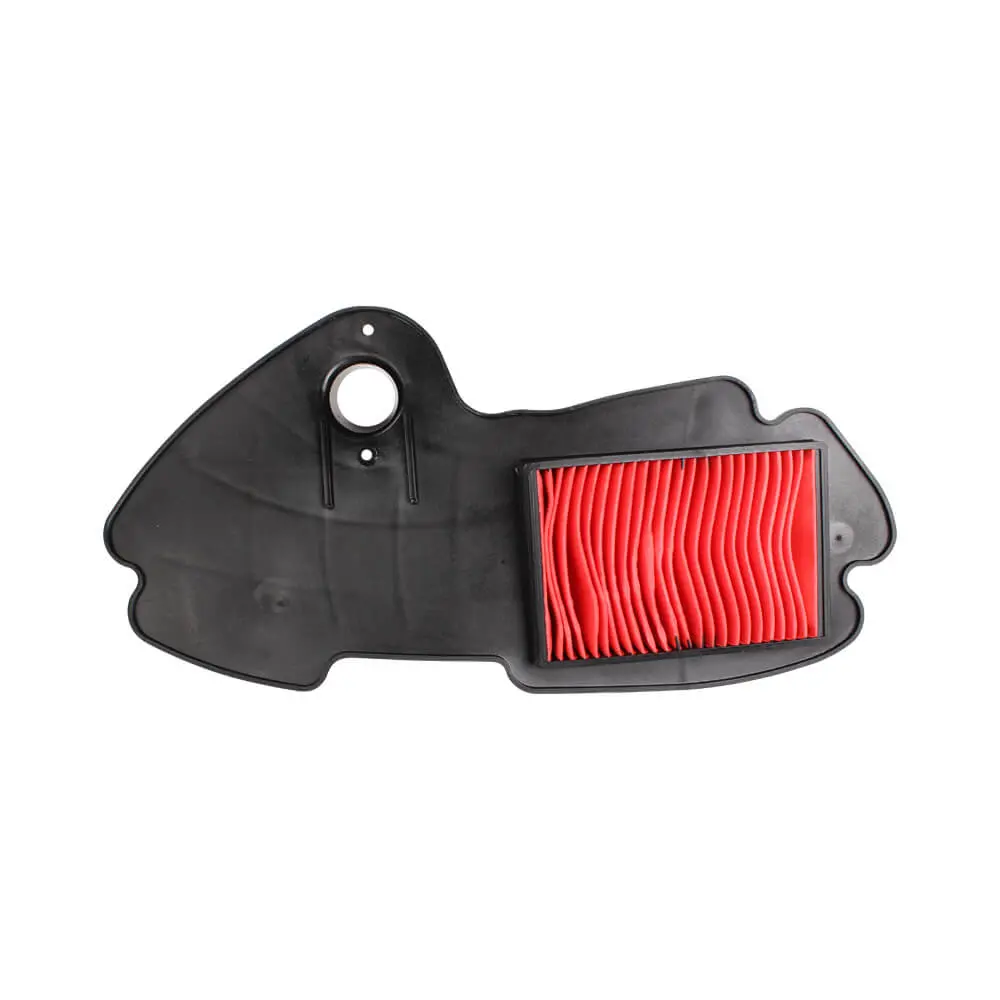 Air Filter; Genuine Buddy 125/150/170I 1