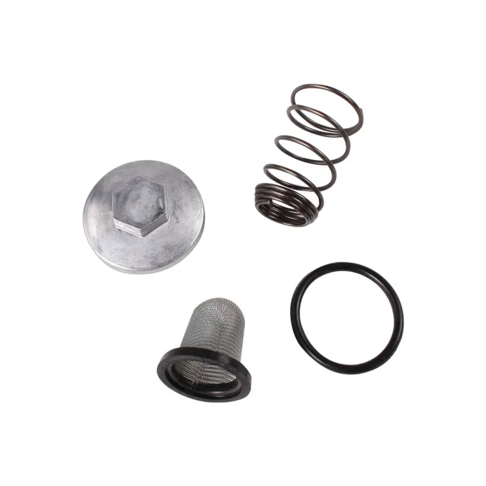 Oil Filter Assembly; Csc Go., Qmb139 Scooters 1