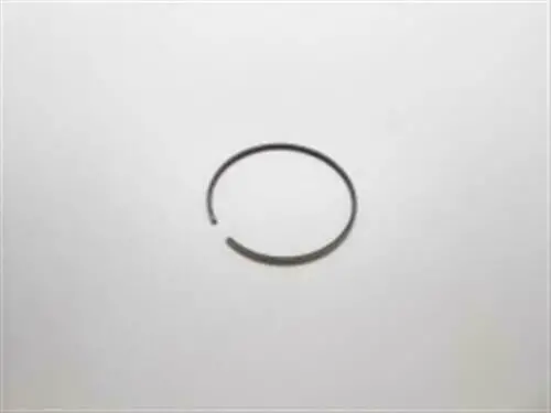 A101000560 Genuine Echo Part Piston Ring 1