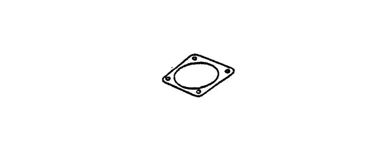 10101032431 Genuine Echo Gasket, Cylinder Cs-5500 1