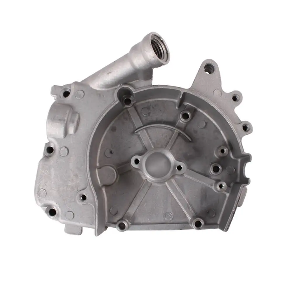 Crankcase Cover Right Side; Csc Go., Qmb139 Scooters 1