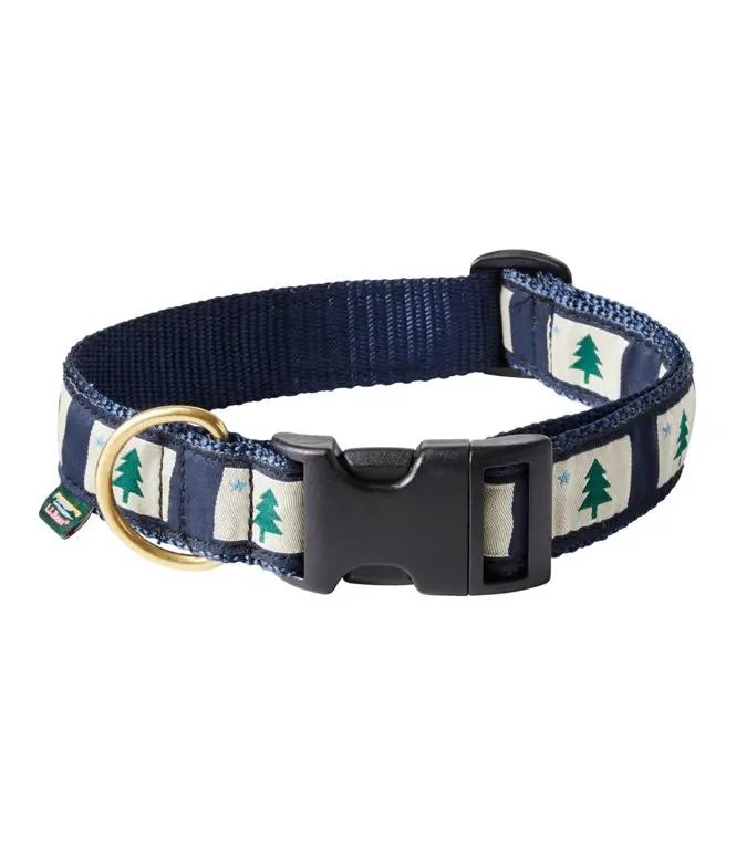 Playful Dog Collar with Unique Design