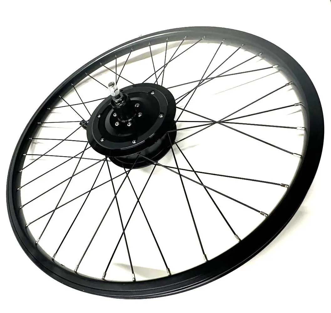 Raleigh Electric Motor 26" E-Bike 36V Bike Rear Wheel Black Hg Cassette New Nos 1