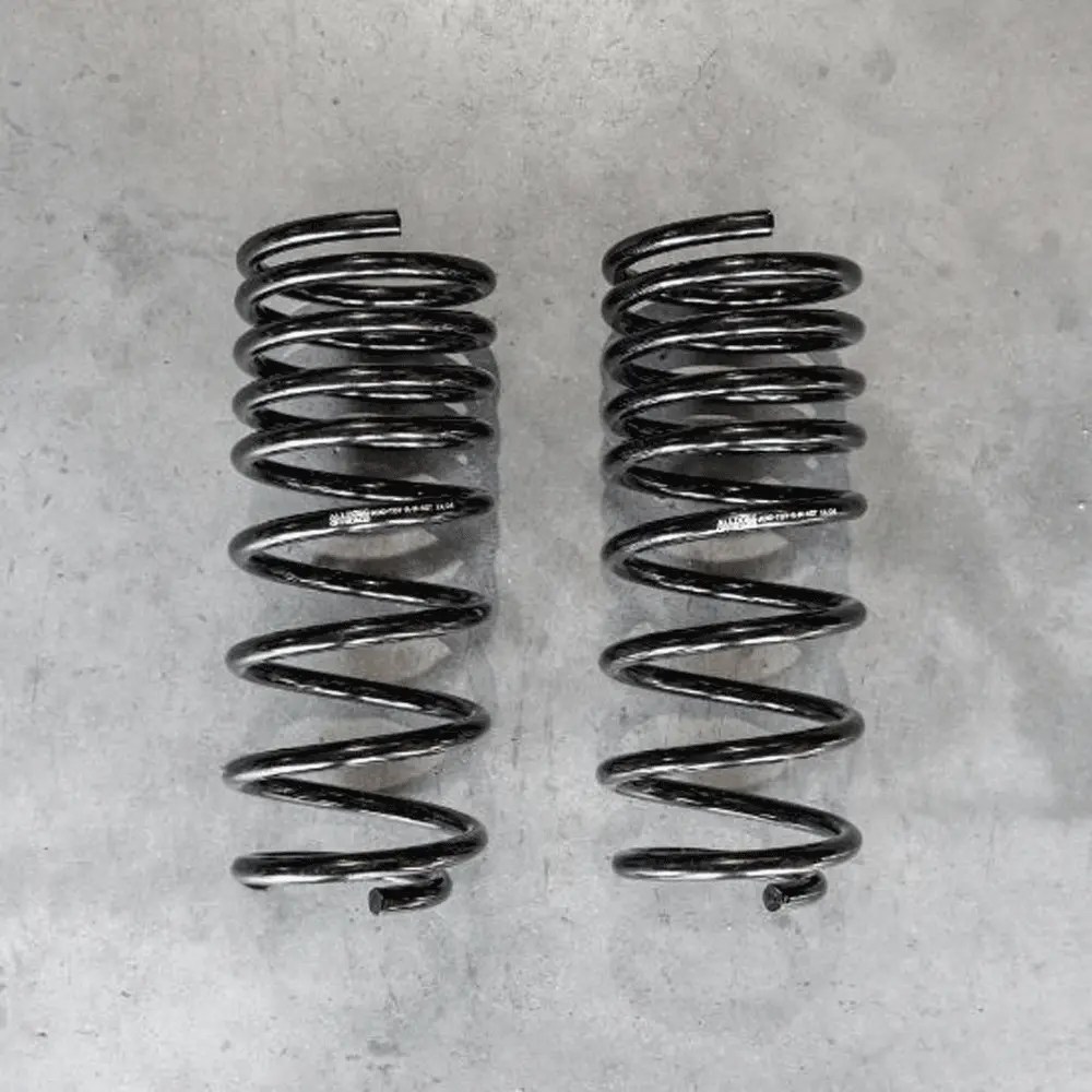 Alldogs Offroad - Rear Lift Coil Springs - Toyota Tacoma (2024-2025) 1