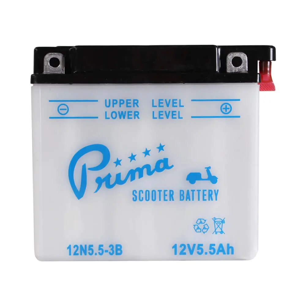 Battery (12V 12N5.5-3B); P Series 1