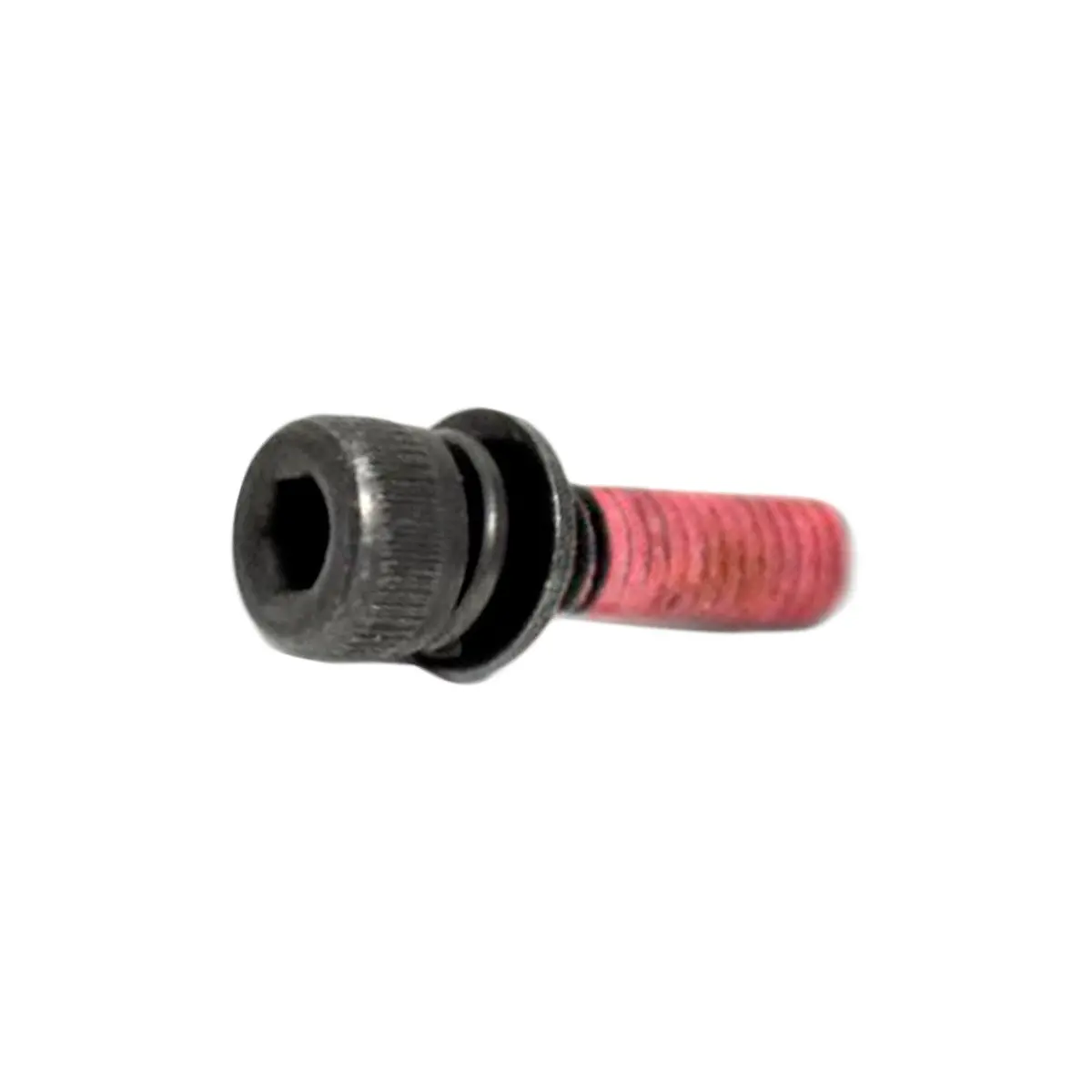 4 Pack V202000830 Screw Echo! 1