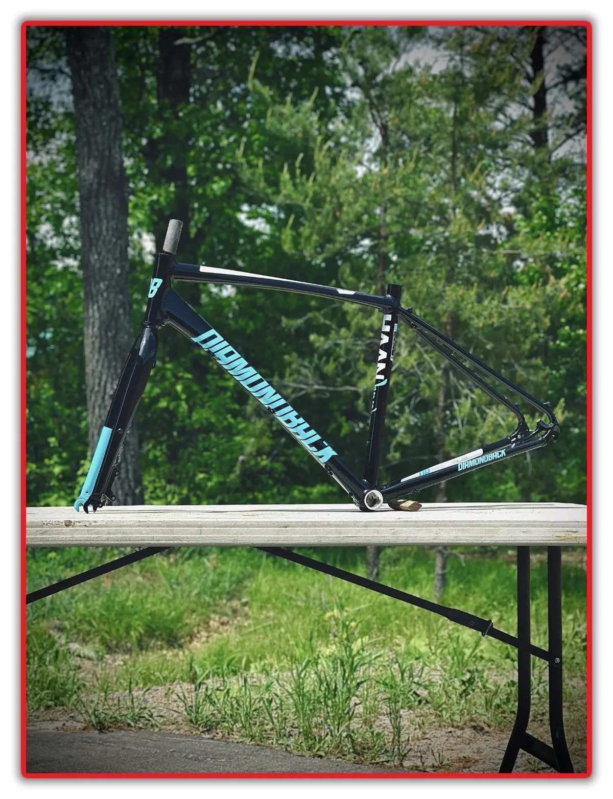 2017 Diamondback Haanjenn Metro 56Cm Lg Alloy Women's Road Bike Frame Fork New 1