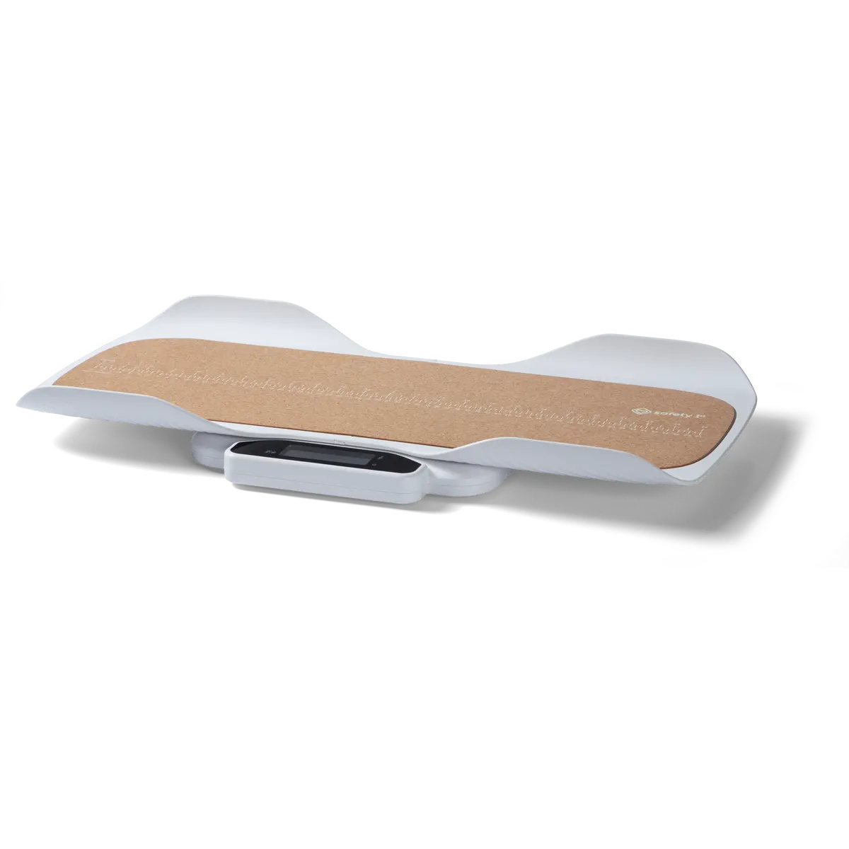 Smart Family Scale 1