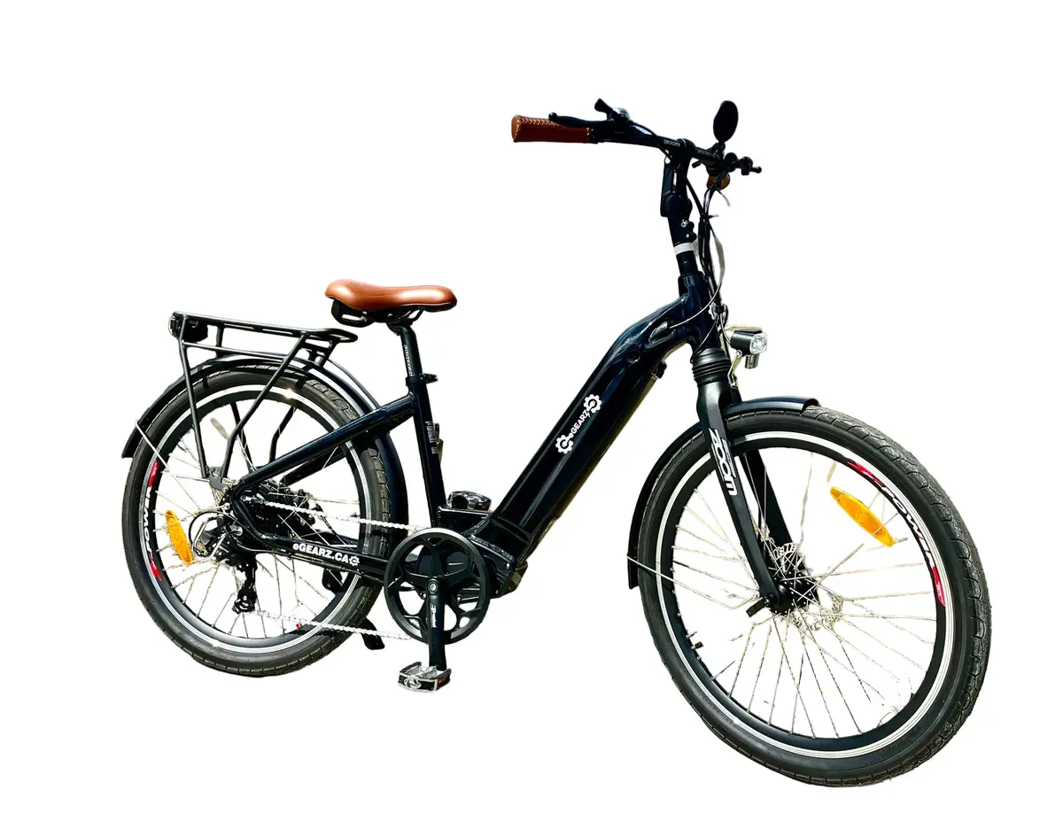 Step-Thru City Cruiser 1