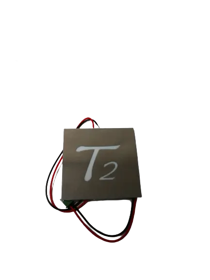 Tesla T2 Logo Light 1
