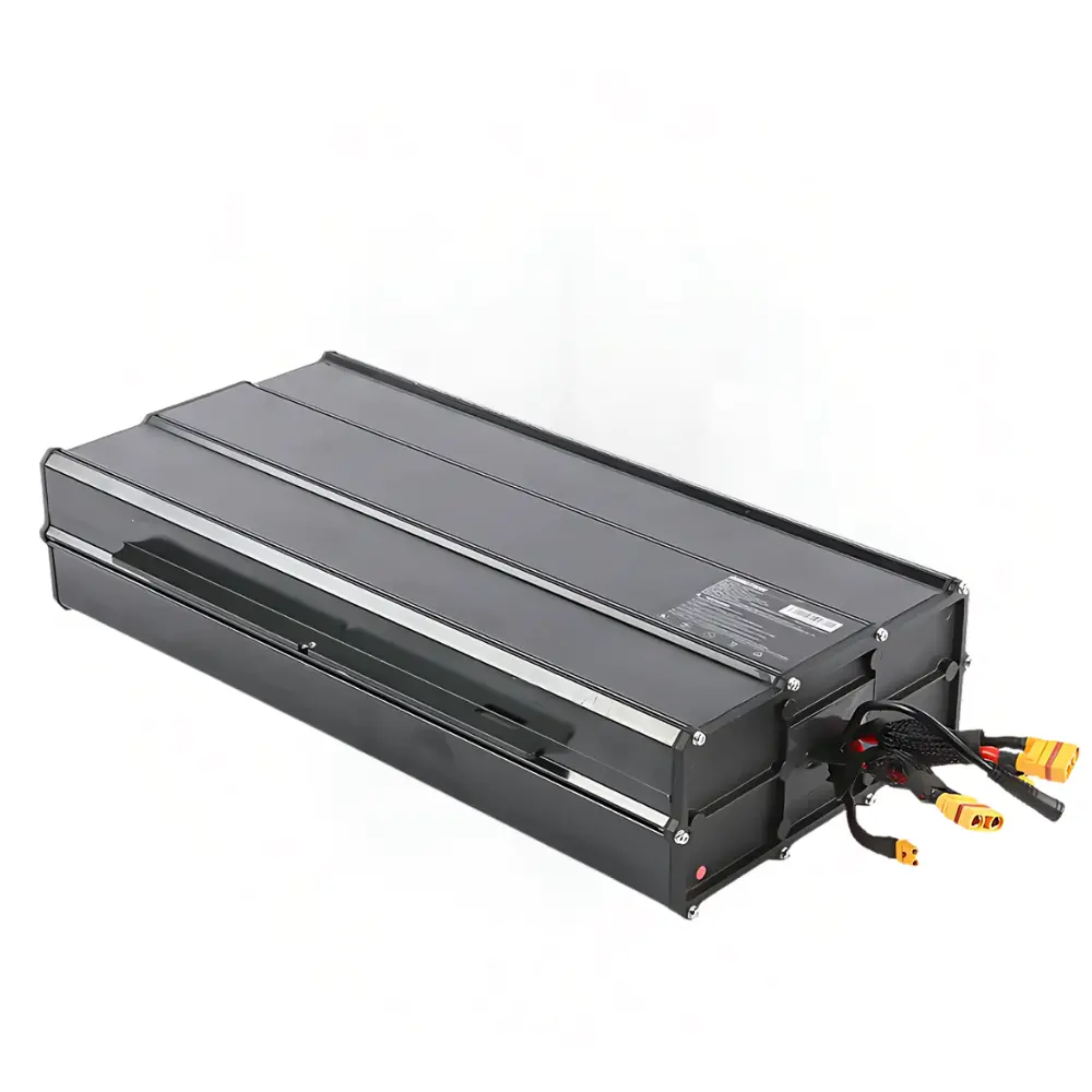 Inmotion Rs Battery Pack 1