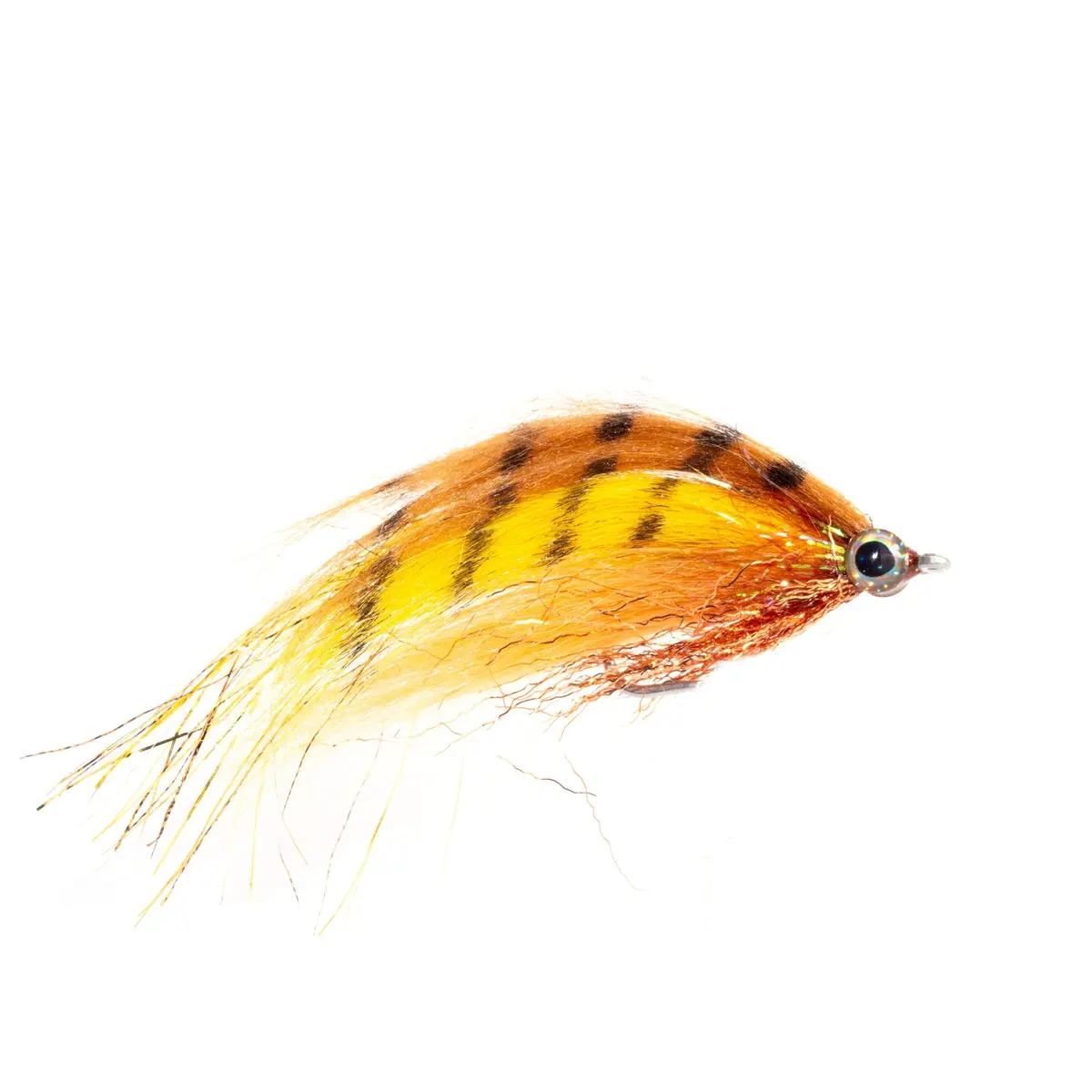 Rio's Flashdance Fire Tiger 2/0 1