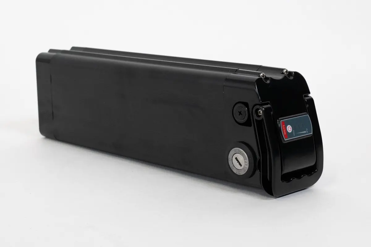 Radmini Battery Pack (Legacy) 1