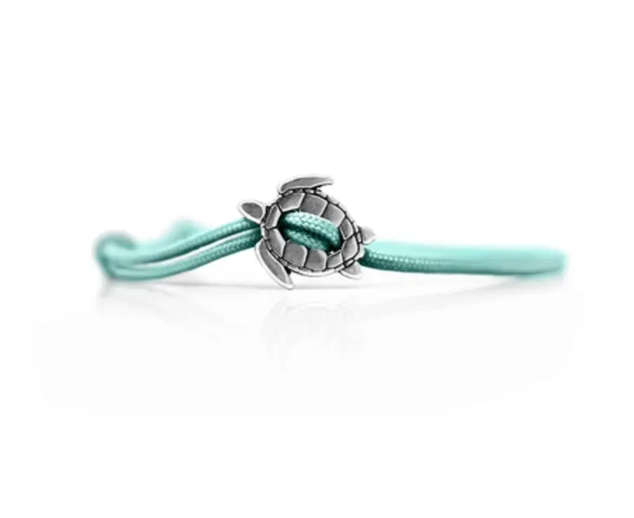 The Turtle Clasp 1