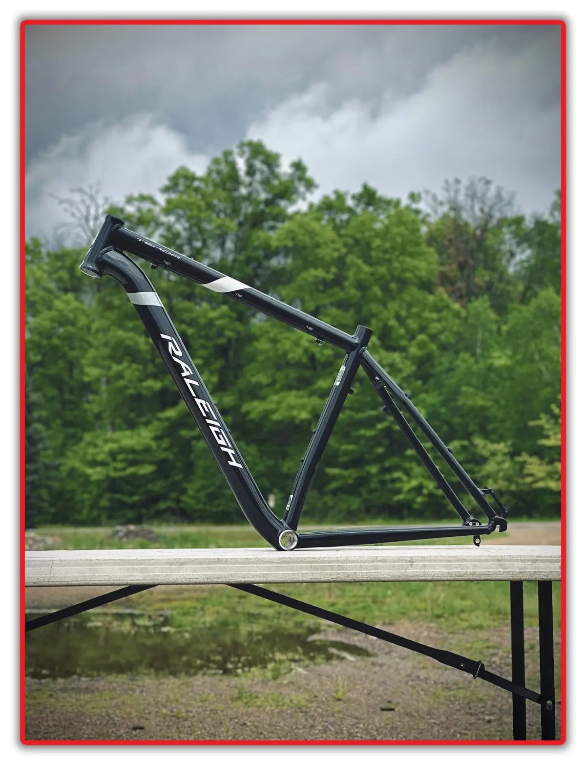 2017 Raleigh 21" Tekoa Hardtail 6061 Alloy Mountain Frame 29" Qr Wheels New Nos 1