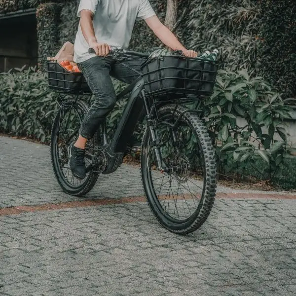 Topeak Tb2013 Mtx 2.0 Urban Basket Dx Xl 22L 2