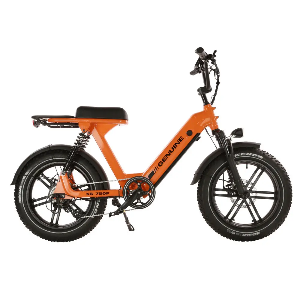 Genuine Ebike Xs 750F, 48V15ah 750W Motor 2