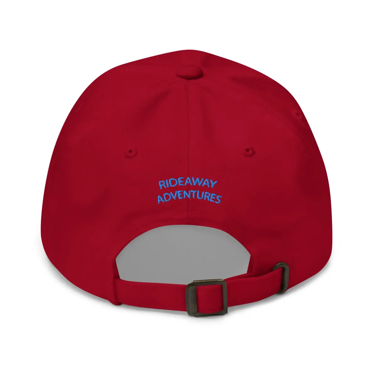 Emblem - Dad Hat 4