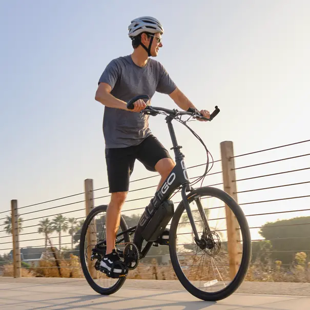 Elliptigo Ersub Electric Bike 1