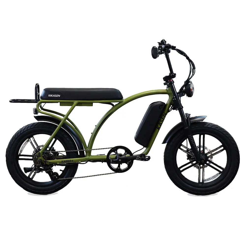 Kabbit Plus E-Bike 10
