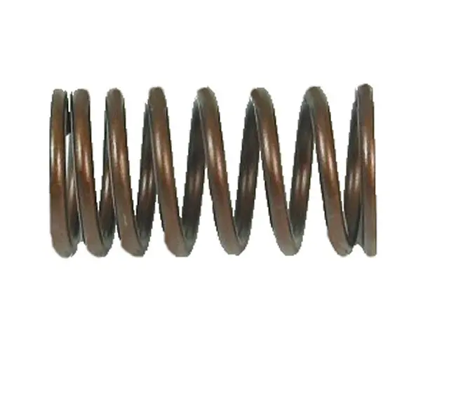 Outer Valve Spring 1