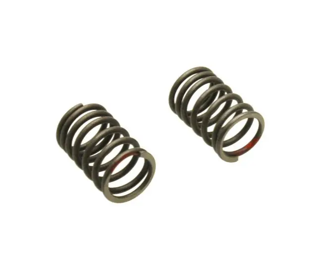 Universal Parts Outer Valve Springs - Set Of 2 1