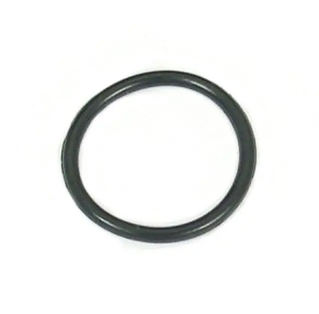 Primo Cam Tensioner Bolt O-Ring 1