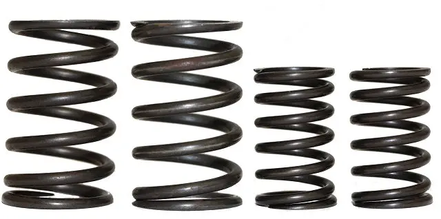 Rdr Chrome Silicon Steel Alloy Valve Springs 1
