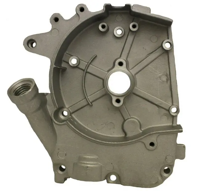 Qmb139 Right Crankcase Cover, 47 Tooth Gear 1