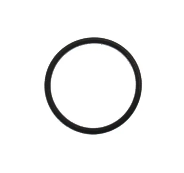 Primo Vog 260 Water Pump O-Ring 1