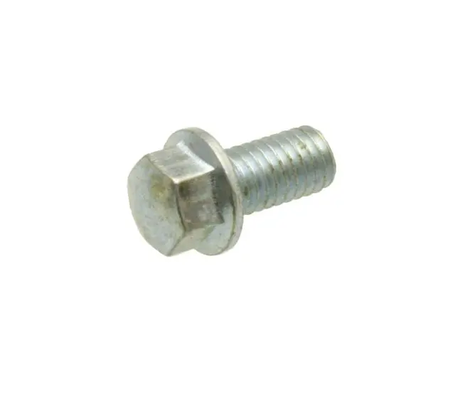 Cam Chain Bolt - M6 1