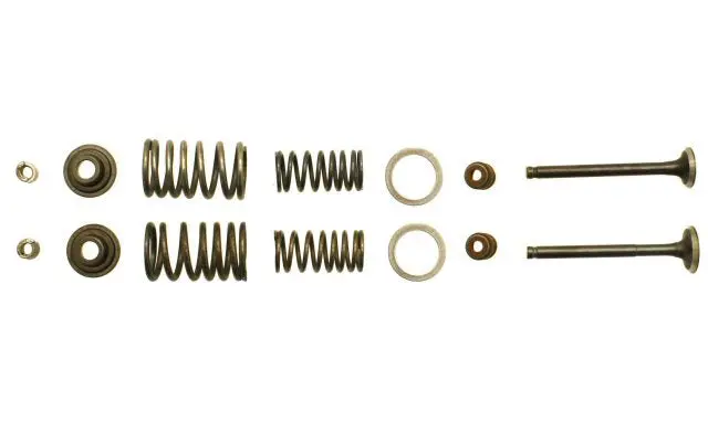 Qmb139 64Mm Valve Rebuild Kit 1