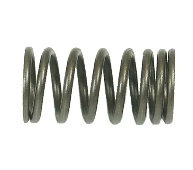 Universal Parts Inner Valve Spring 1