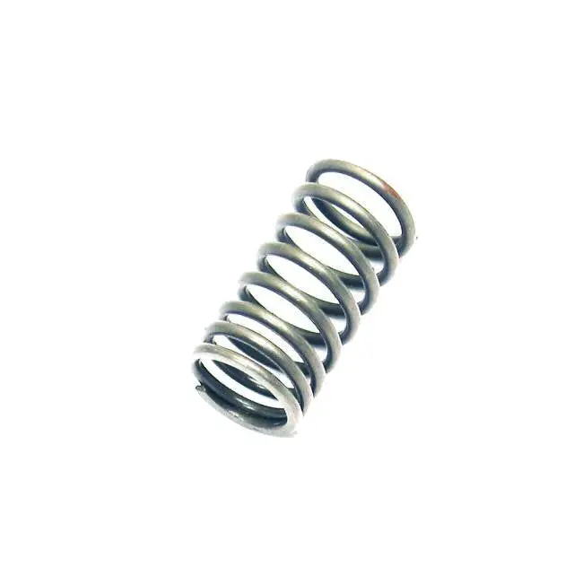 Universal Parts Inner Valve Spring 1