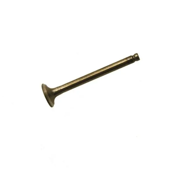 Qmb139 Exhaust Valve - 64Mm 1