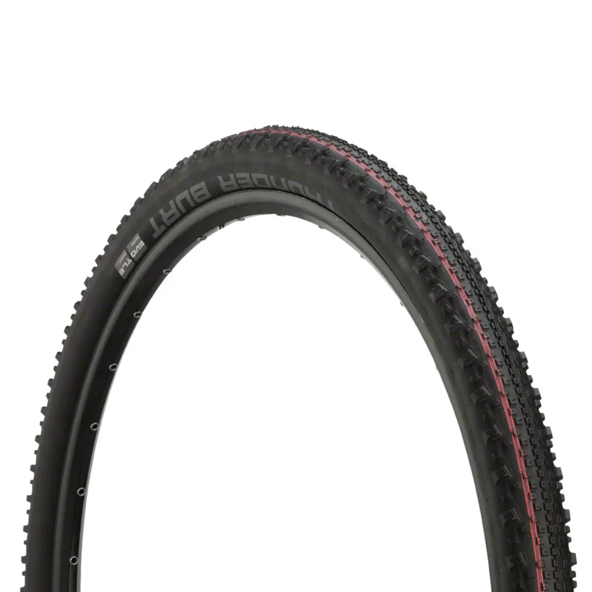 Schwalbe Thunder Burt 29-Inch Evolution Super Ground Addix Speed Tubeless Tire 1
