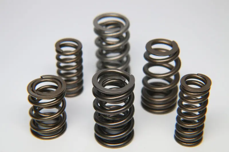 Ferrea Dual Valve Spring Kit For Mitsubishi 4G63T Engine – Set Of 16 1