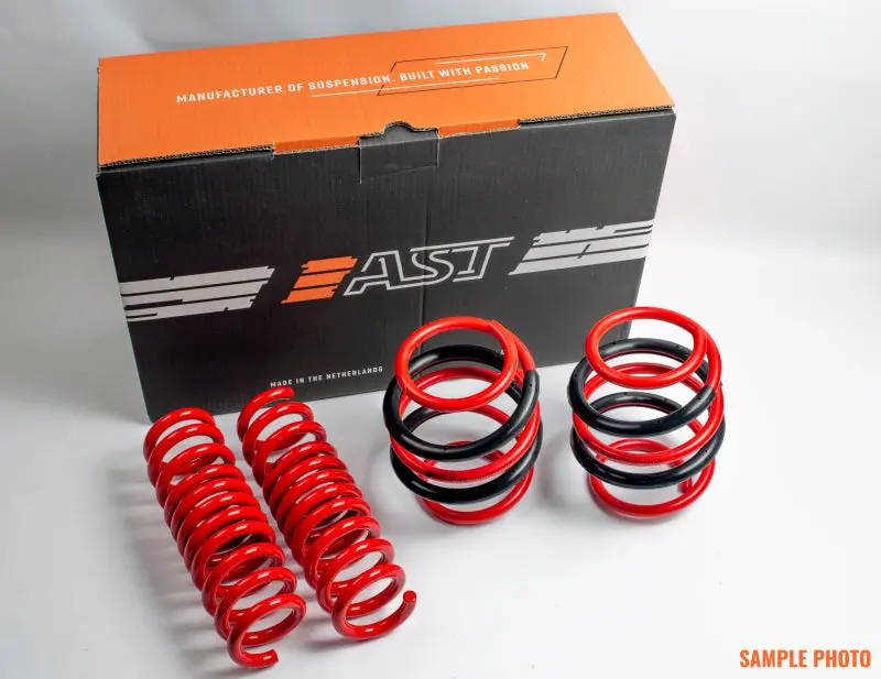 Ast 1996-2003 Renault Megane Lowering Springs - 30Mm 1