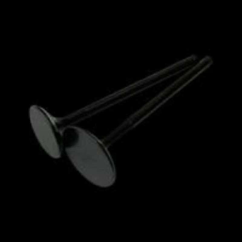 Brian Crower Flat-Face Exhaust Valves For Honda/Acura B18C, B16A, B17A Engines – 28Mm, Black Nitride Coated 1